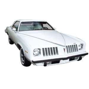    1973 1974 Pontiac Grand Am Decal and Stripe Kit Automotive