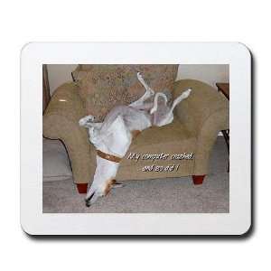  Greyhound Funny Mousepad by 