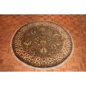  6x6 Hand Knotted Agra India Rug   60x60