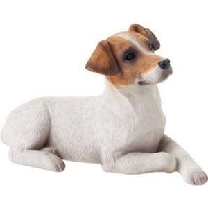  Jack Russell Terrier   Small Size 