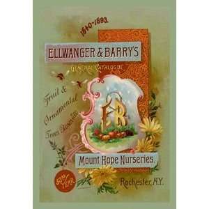 Ellwanger and Barrys General Catalogue   12x18 Framed Print in Gold 