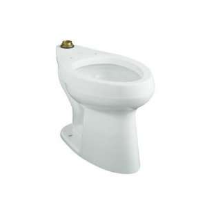  Highline 1.28 GPF Flushometer Elongated Toilet Bowl Finish 
