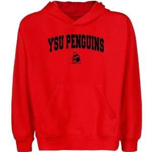  Youngstown State Penguins Youth Red Logo Arch Pullover 