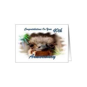 Anniversary / 40th ~Year Specific / Baby Ostrich Card