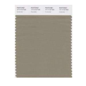  PANTONE SMART 17 1113X Color Swatch Card, Coriander