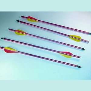  Aluminum Arrows   Buy 2 Packs for Discount Everything 