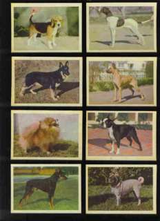 Dogs Trading Card Set RARE 1958 Premiere / Oak #1027  