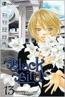   Black Bird Series