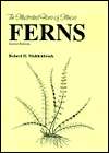 Ferns, (0809322552), Robert H. Mohlenbrock, Textbooks   