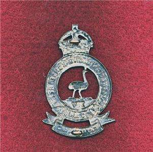 Aust   Hat Badge   14 ALH Regt   QMI (1900 12)  