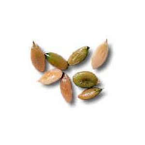 Pumpkin Seed Kernels    Roasted with No Grocery & Gourmet Food