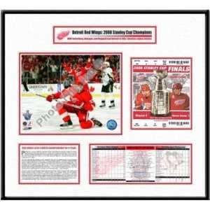  My Ticket TFRHKYDETSC086 Detroit Red Wings 2008 Stanley Cup Ticket 