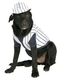 Small Dog Baseball Player Dog Costume   Dog Costumes  
