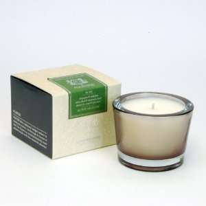  Alpine Meadow Small Candle by Aquiesse (Only 3 Left 