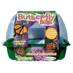  New   Butterfly Bush Case Pack 12   706538 Toys & Games