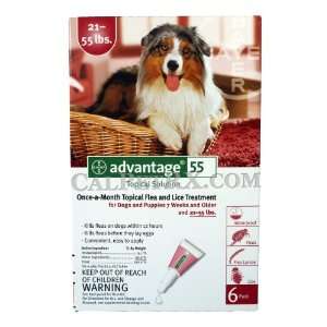  12 MONTH Advantage II Flea Control (for Dogs 21 55 lbs 
