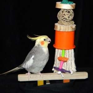  Silly Willy Cockatiel to African Grey Size Bird Toy