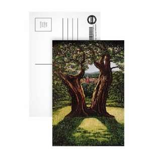 Divided Tree, Richmond Park, 1989 by Liz Wright   Postcard (Pack of 8 