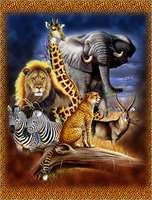 NIP African Savannah Safari Wildlife 50x60 Plush Tapestry Blanket 