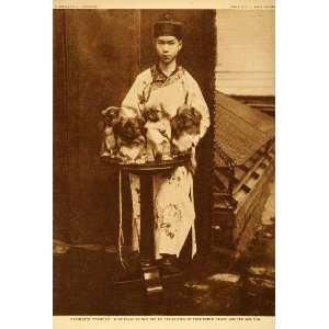  1918 Photogravure Pekingese Pekinese Peke Toy Dog Breed 