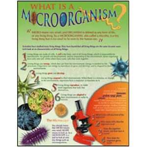  WHAT IS A MICROORGANISM? CHARTLET Toys & Games
