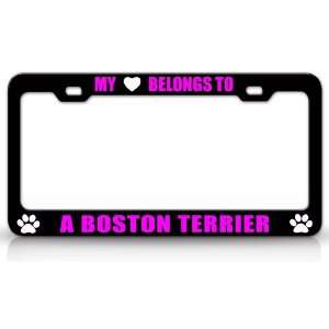 MY HEART BELONGS TO A BOSTON TERRIER Dog Pet Steel Metal Auto License 
