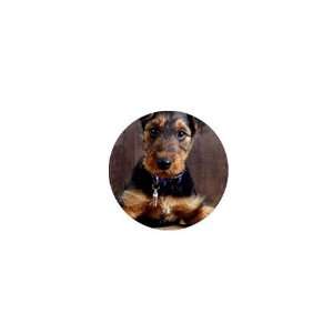  Airedale Terrier Puppy Dog 1in Mini Magnet Q0003 