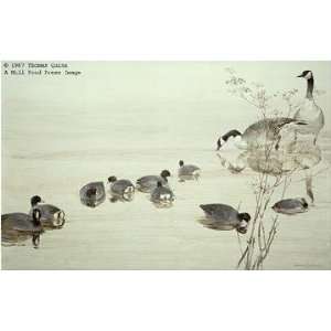     Sweet Fennel With Coots And Geese Artists Proof
