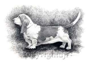 BASSET HOUND Dog Drawing ART NOTE CARDS by Artist DJR  