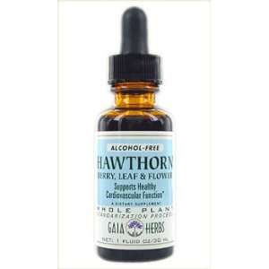 Hawthorn Berry Leaf & Flower Alcohol Free Liquid Extracts 16 oz   Gaia 