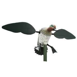  MOJO Teal (Decoys) (Waterfowl & Accessories) Everything 