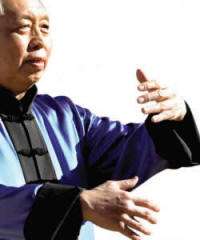 Grandmaster William C.C. Chen TAI CHI FOR BEGINNERS DVD  