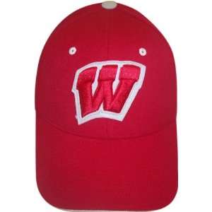  Wisconsin Badgers Heritage One Fit Hat