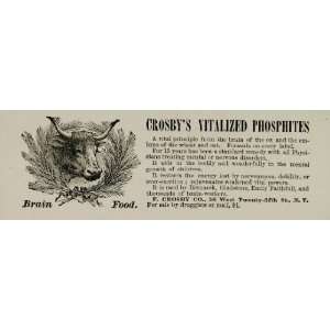  1888 Ad Medical Quackery Brain Food Tonic Potion Ox 