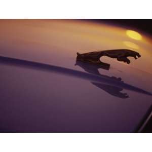  Hood Ornament of Jaguar with Light Reflection Stretched 