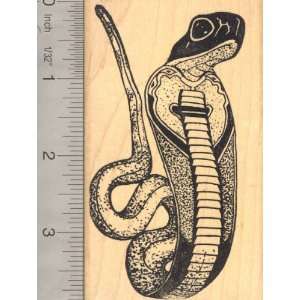  Large Egyptian Cobra (Asp, Wadget) Rubber Stamp Arts 