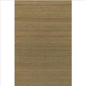    7702 Hand woven Transitional Amela AME 7702 Rug Size 9 x 13 Baby