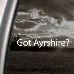 Got Ayrshire? Decal Beef Cattle Cow Breed Car Sticker Automotive