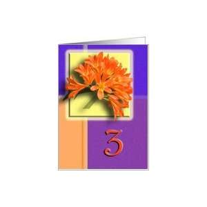  3rd Anniversary Party Invitation Greeting Card Card 