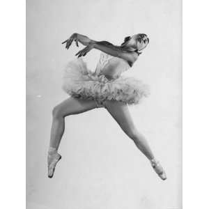  American Ballet Theater Dancer Irina Baranova Stretched 