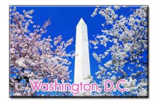 Cherry Blossoms Washington Monument Souvenir Magnet  