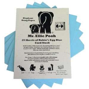 Ellie Pooh Elephant Dung Paper Card Stock, Robins Egg Blue (CS Light 