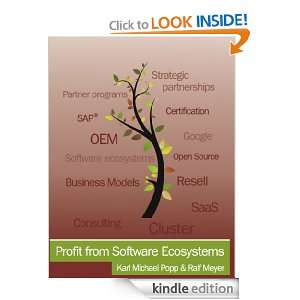   the Software Industry Karl Popp, Ralf Meyer  Kindle Store