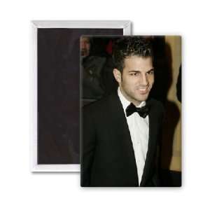  Cesc Fabregas   3x2 inch Fridge Magnet   large magnetic 