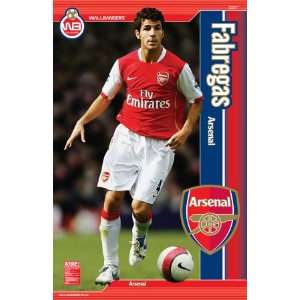  Cesc Fabregas  Wallbangers , 36x72