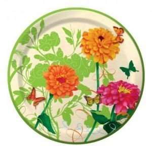  Viva green lunch plates Toys & Games