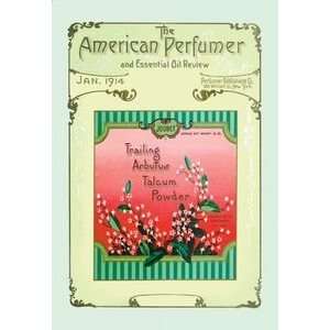   Trailing Arbutus Talcum Powder   12x18 Framed Pri