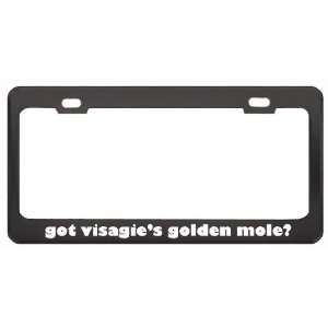 Got VisagieS Golden Mole? Animals Pets Black Metal License Plate 