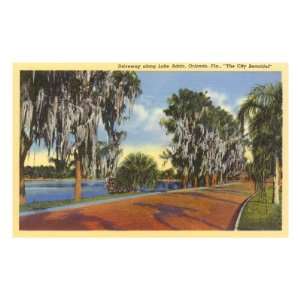 Lake Adair, Orlando, Florida Travel Premium Poster Print, 8x12  