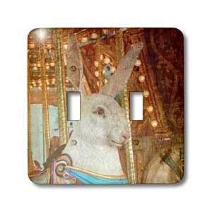   Grunge Textures   Light Switch Covers   double toggle switch Home